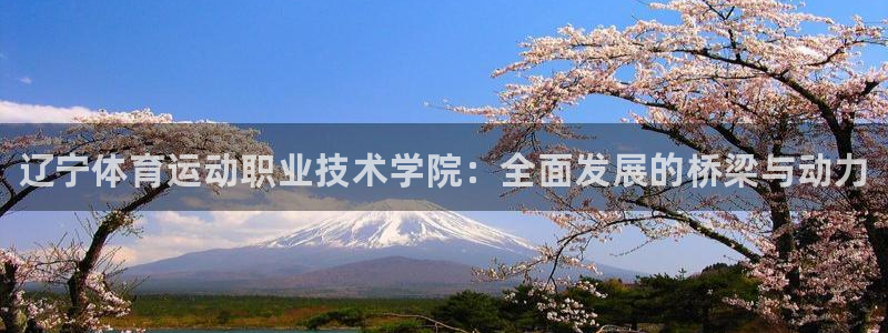 一竞技官方正版app集团官网首页：辽宁体育运动职业技