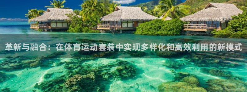 海南一竞技官网下载：革新与融合：在体育运动套装中实现
