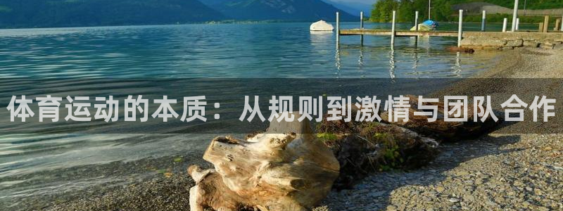 一竞技官方正版app集团官网首页网址：体育运动的本质：从规则