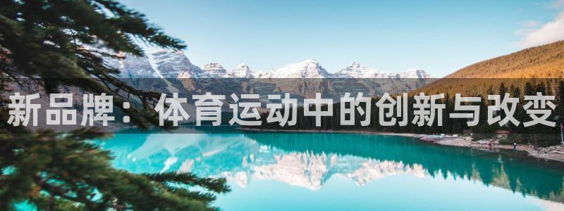 一竞技官网下载平台：新品牌：体育运动中的创新与改变