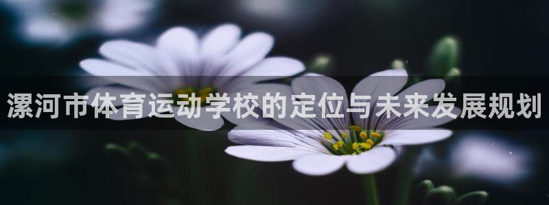 一竞技官方平台体育：漯河市体育运动学校的定位与未来发展规划