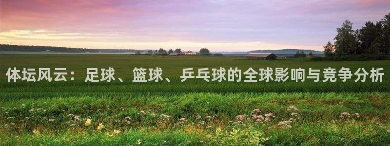 一竞技官方正版app集团简介：体坛风云：足球、篮球、
