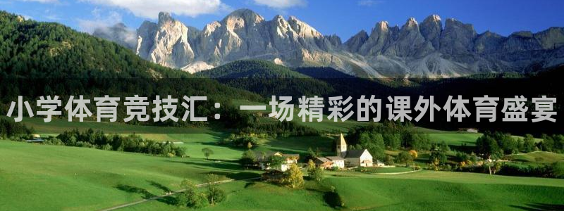 一竞技官网下载平台注册要钱吗：小学体育竞技汇：一场精
