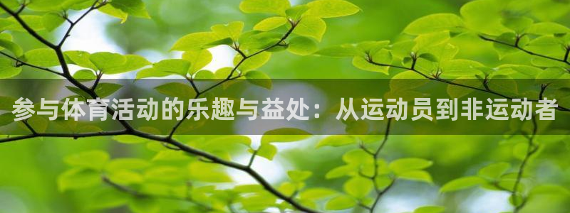 一竞技官方正版app娱乐：参与体育活动的乐趣与益处：