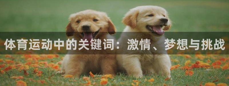 一竞技官方正版app娱乐首页网站大全：体育运动中的关