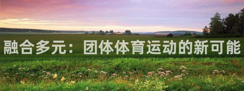 一竞技官方正版app娱乐40996：融合多元：团体体