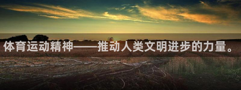 一竞技官方正版app娱乐首页官网下载：体育运动精神—