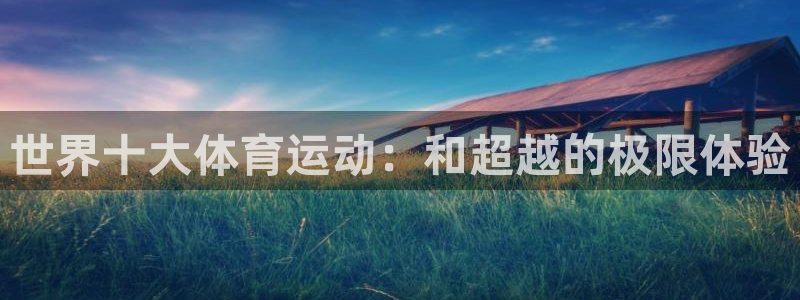 一竞技官方正版app集团官网网址：世界十大体育运动：