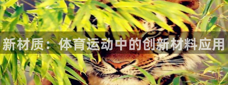 一竞技官方正版app新能源：新材质：体育运动中的创新材料应用