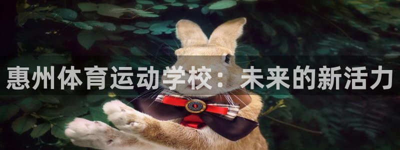 一竞技官网下载平台注册要钱吗安全吗：惠州体育运动学校：未来的