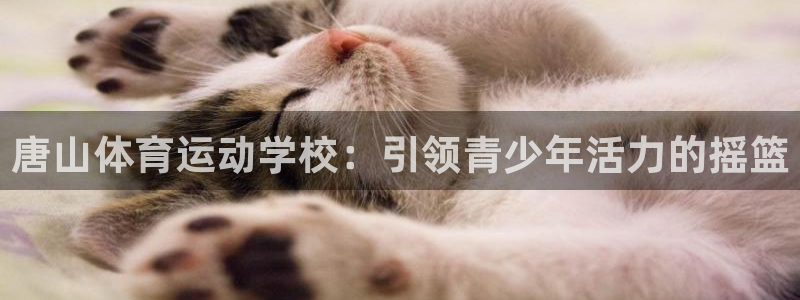 一竞技官方正版app娱乐40996：唐山体育运动学校