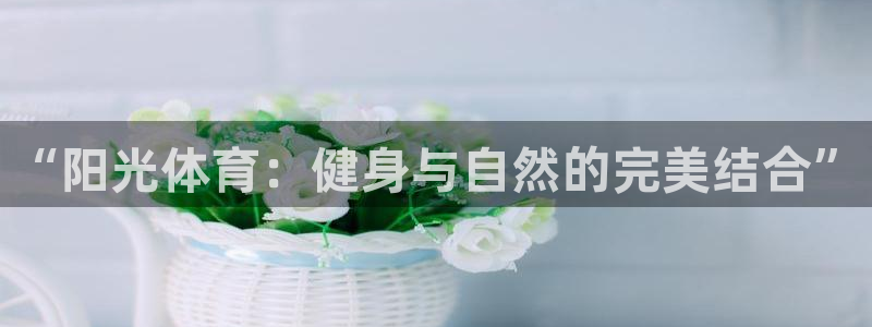 一竞技平台提现不出