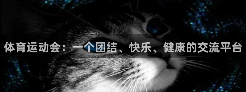 一竞技测速站网址是什么：体育运动会：一个团结、快乐、健康的交