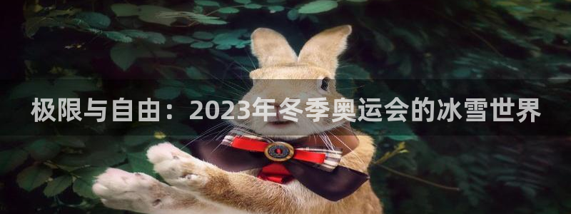 一竞技dota2：极限与自由：2023年冬季奥运会的冰雪世界