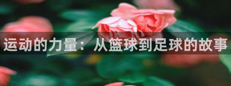 一竞技测速：运动的力量：从篮球到足球的故事