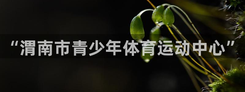 一竞技dota：“渭南市青少年体育运动中心”