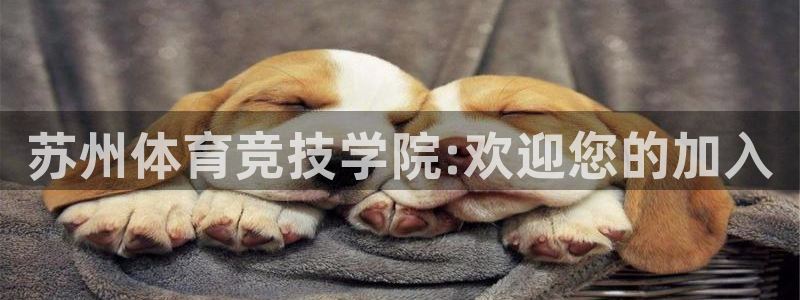  一竞技平台怎么样：苏州体育竞技学院:欢迎您的加入