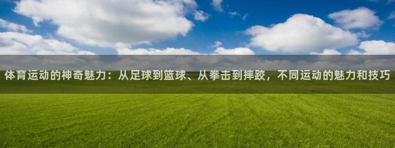  一竞技官网网址是多少：体育运动的神奇魅力：从足球到篮球、从拳