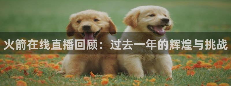 雨燕直播高清雨燕足球直播：火箭在线直播回顾：过去一年的辉煌与挑战