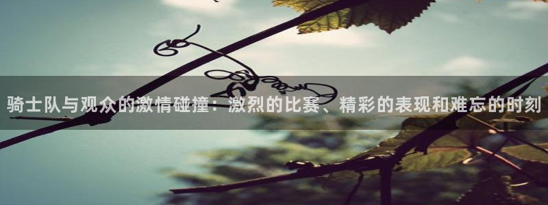 nba雨燕直播