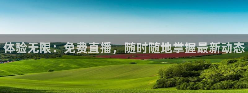 雨燕在线直播体育直播