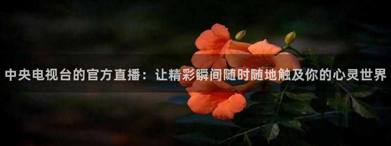 雨燕体育直播在线直播：中央电视台的官方直播：让精彩瞬间随时随地触及你的心灵世界