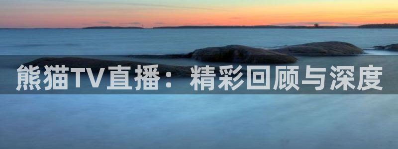 雨燕360体育足球免费直播：熊猫TV直播：精彩回顾与深度