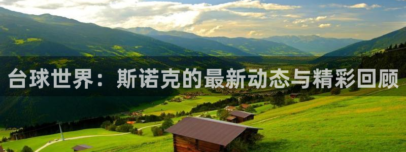 nba直播吧雨燕：台球世界：斯诺克的最新动态与精彩回顾