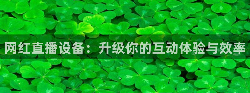 雨燕360体育在线直播手机版