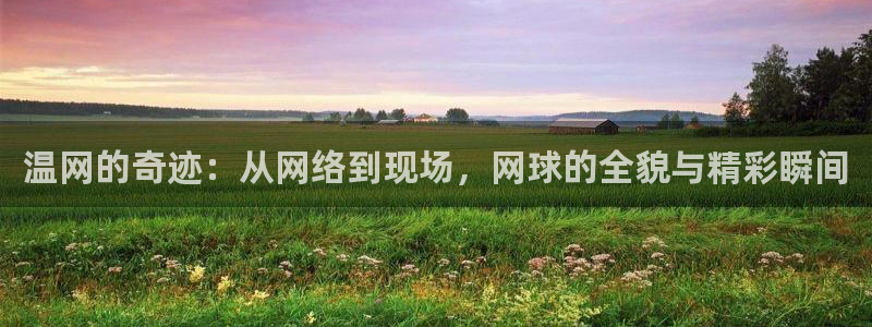 雨燕赛事直播：温网的奇迹：从网络到现场，网球的全貌与精彩瞬间