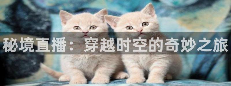 雨燕nba在线高清免费直播：秘境直播：穿越时空的奇妙之旅