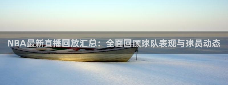 雨燕体育直播免费：NBA最新直播回放汇总：全面回顾球队表现与球员动态