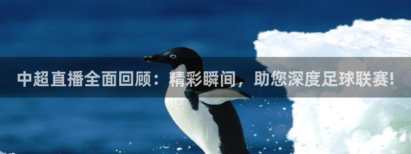 nba直播雨燕体育