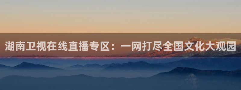 雨燕篮球直播免费：湖南卫视在线直播专区：一网打尽全国文化大观园