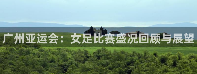 雨燕乐球直播