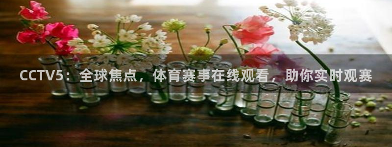 雨燕直播体育免费直播nba在线观看：CCTV5：全球焦点，体育赛事在线观看，助你实时观赛