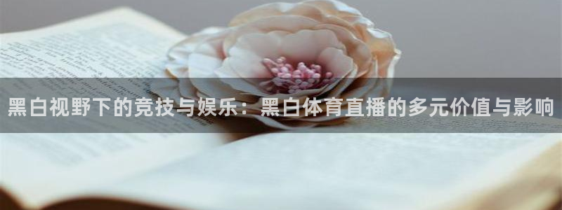 雨燕360体育直播篮球直播：黑白视野下的竞技与娱乐：黑白体育直播的多元价值与影响